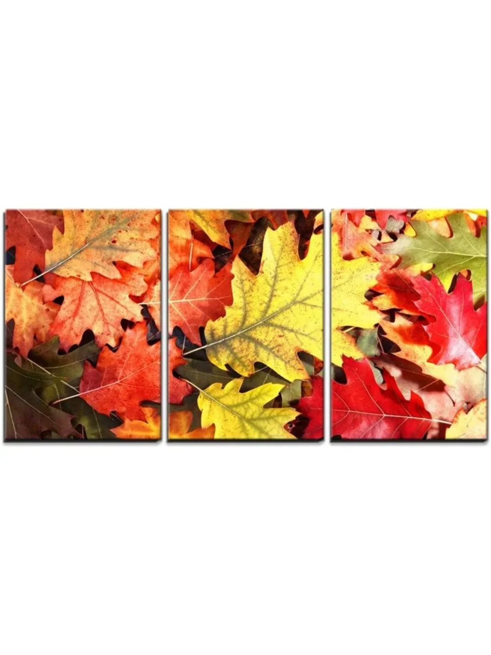Colorful Autumn Tree Leaves Canvas Art Set - Modern 3-Piece Wall Decor, Ready to